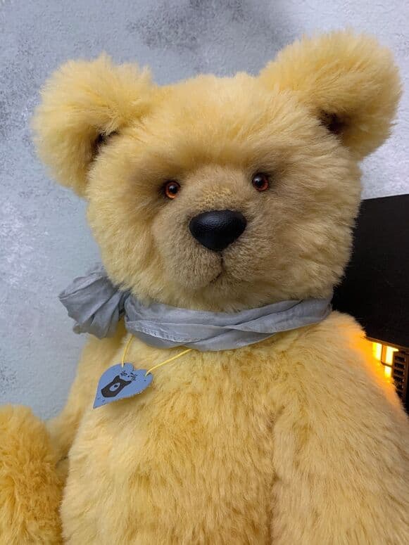 Close portrait of Amalfi with amber eyes and a pale silk ribbon