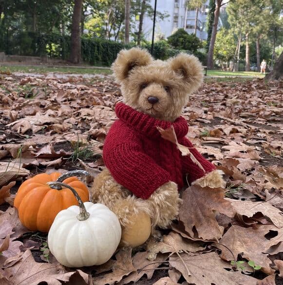 Keegan, a honey-gold mohair artist bear in a red sweater